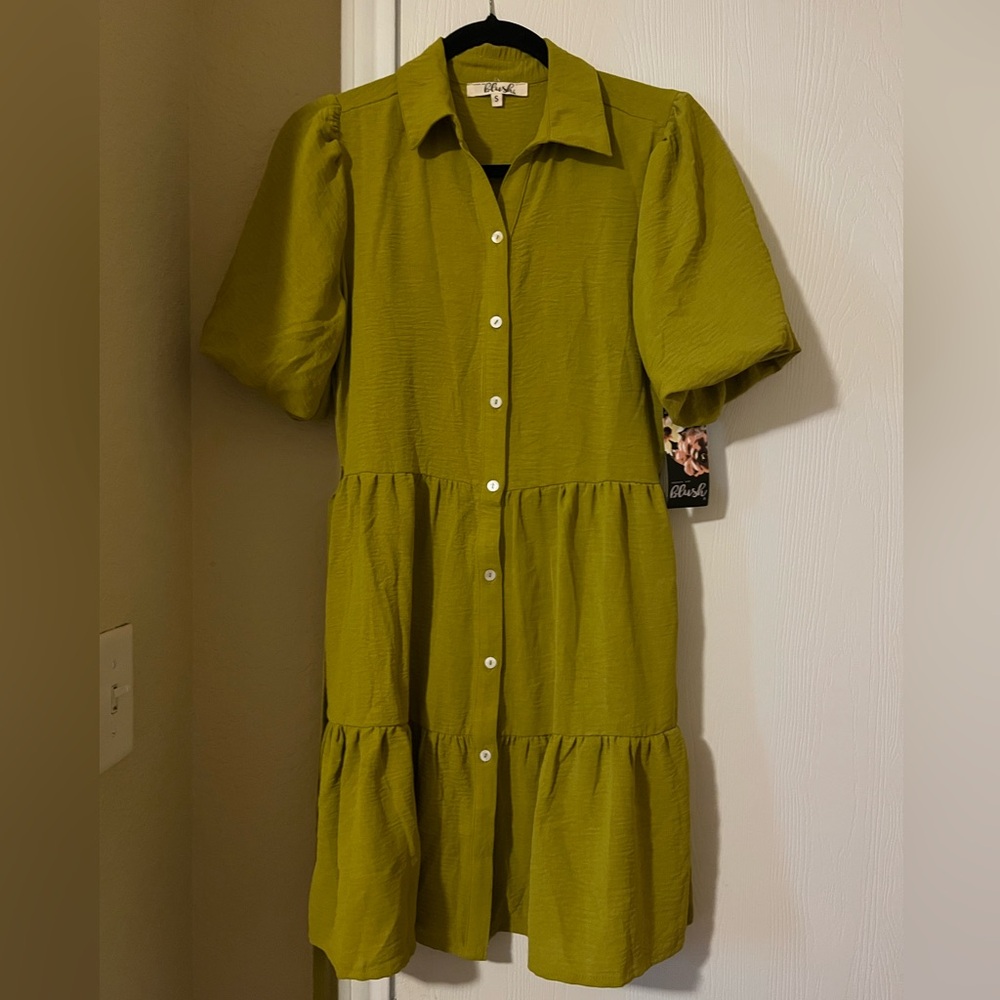 Blush Olive Button-Up Long Sleeve Dress